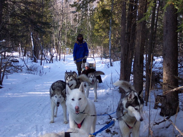 最後的旅程The Last Flight (標題圖檔)